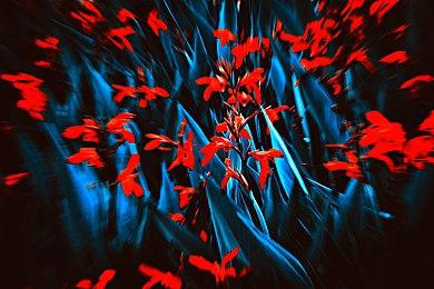 Switch《马力欧+疯兔星耀之愿》发布上市宣传片